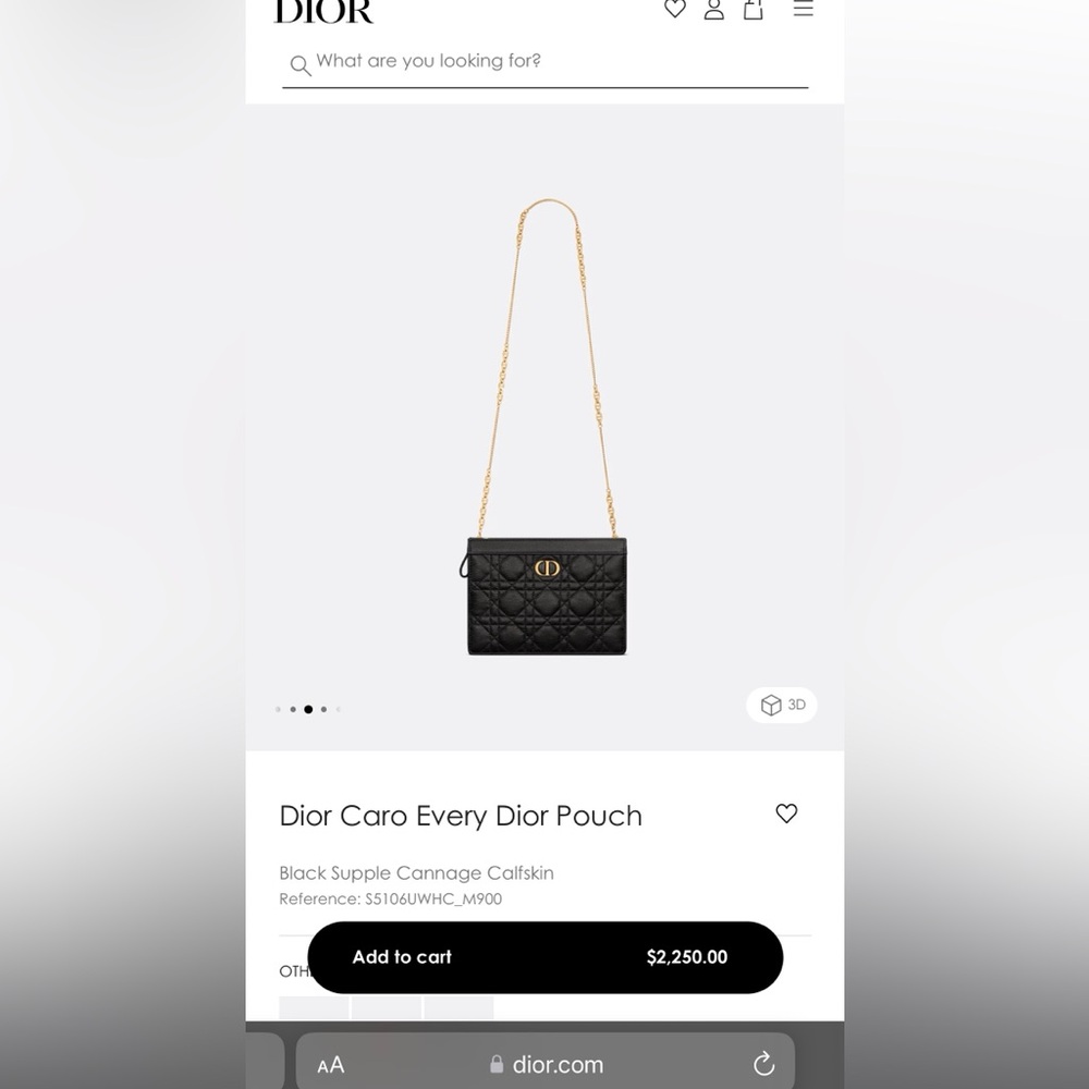 Dior Caro Every Dior Pouch - Picture 2 of 12